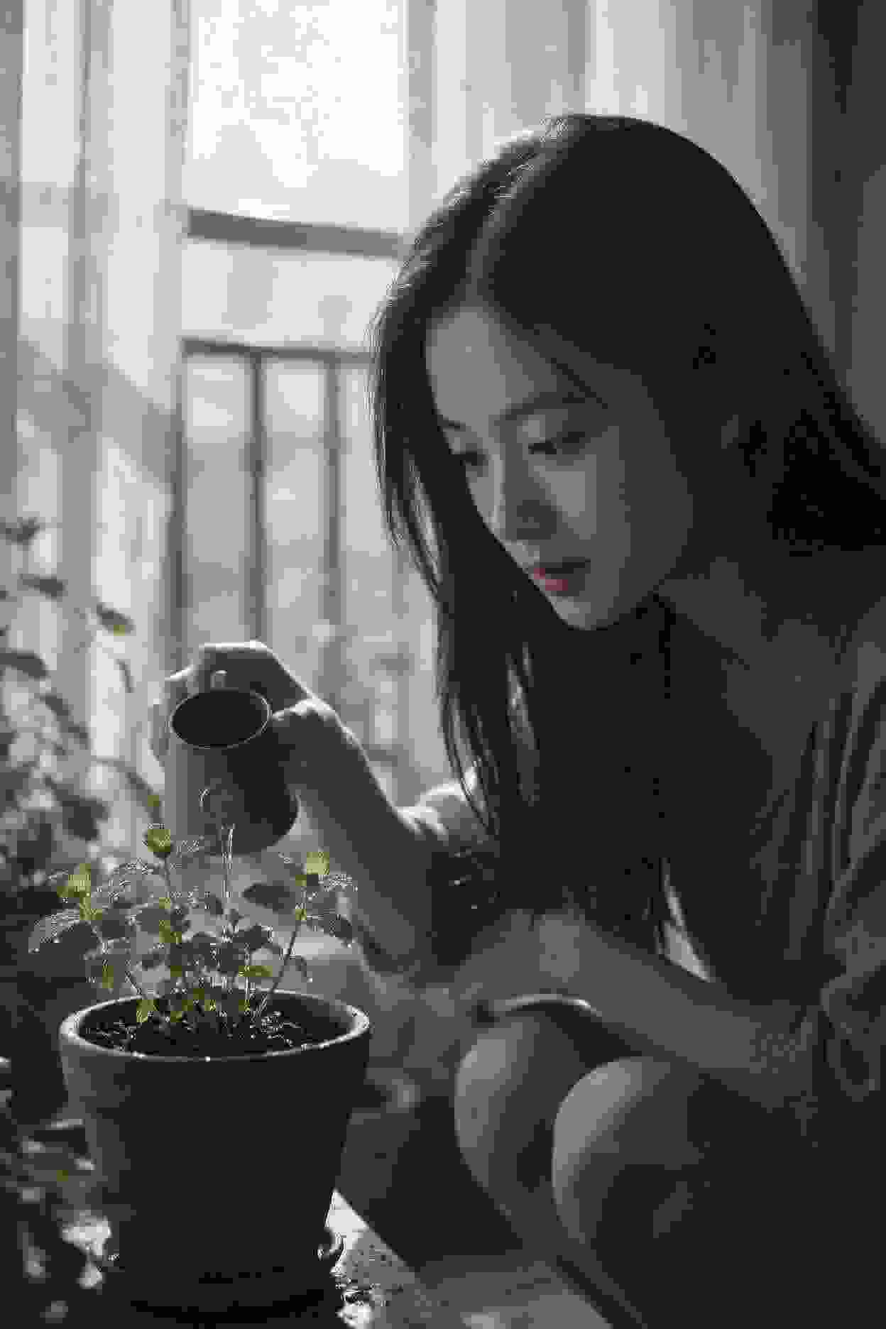 小说